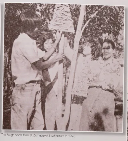 The Muga seed farm at Zemabawk in Mizoram in 1978