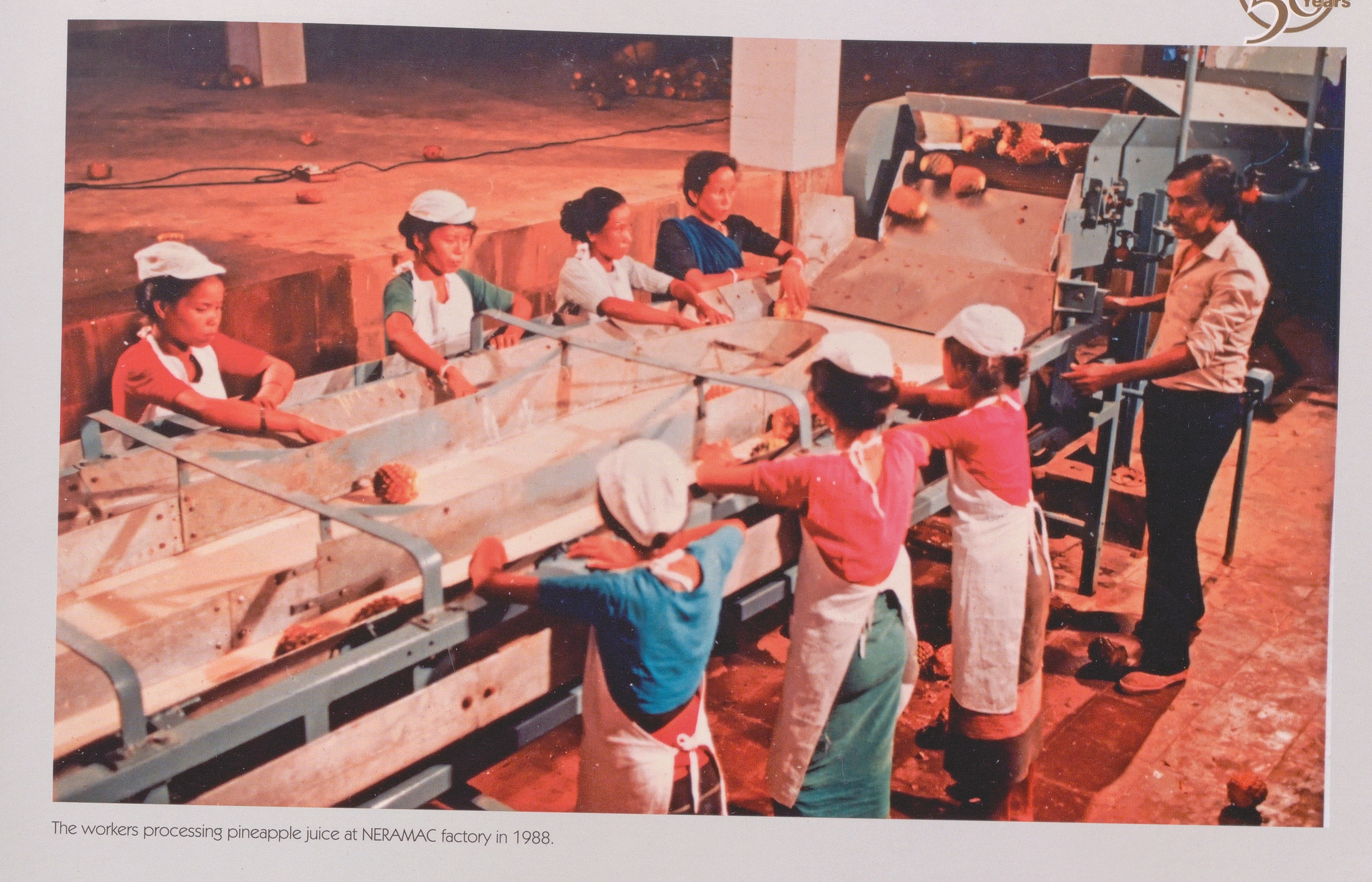 The workers processing pineapple juice at NERAMAC factory in