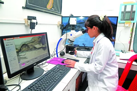Regional Institute of Paramedical and Nursing Sciences, Mizoram