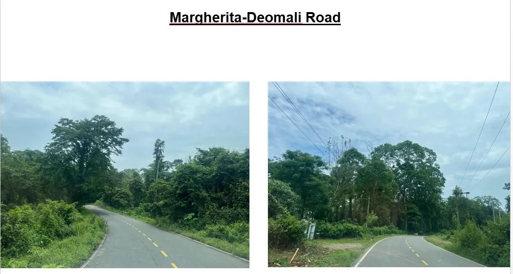 Margherita-Deomali Road